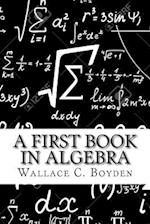 A First Book in Algebra