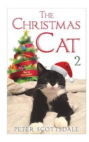 The Christmas Cat 2