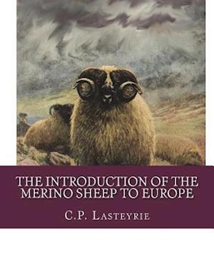 The Introduction of the Merino Sheep to Europe