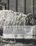 The Karakul Sheep in America