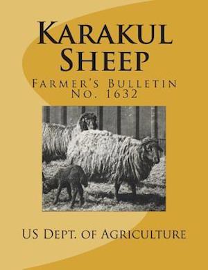 Karakul Sheep