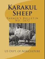 Karakul Sheep