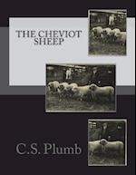 The Cheviot Sheep