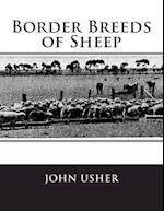 Border Breeds of Sheep