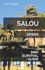 Salou Mini Survival Guide