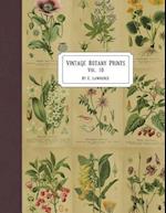 Vintage Botany Prints
