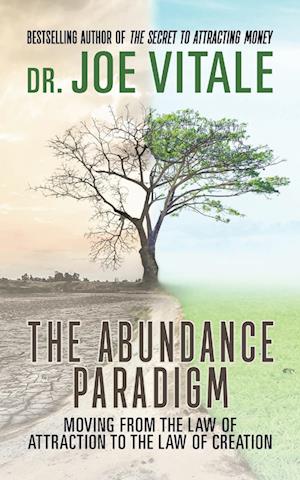 The Abundance Paradigm