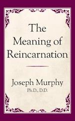 Meaning of Reincarnation