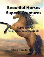 Beautiful Horses Superb Creatures