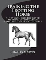 Training the Trotting Horse