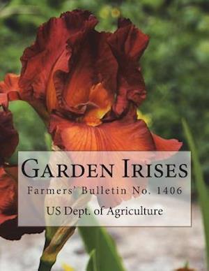 Garden Irises