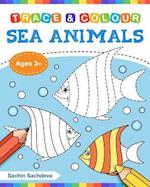 Sea Animals (Trace and Colour)