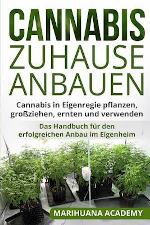 Cannabis zuhause anbauen