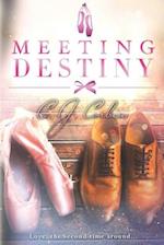 Meeting Destiny