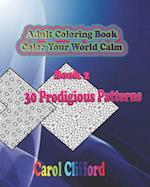 Adult Coloring Book, Book 2 - 30 Prodigious Patterns