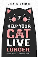 Help Your Cat Live Longer