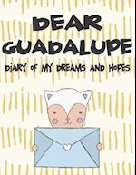 Dear Guadalupe, Diary of My Dreams and Hopes