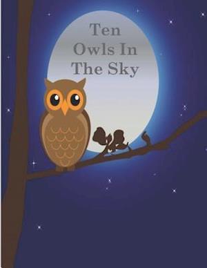 Ten Owls in the Sky