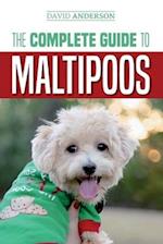 The Complete Guide to Maltipoos: Everything you need to know before getting your Maltipoo dog 