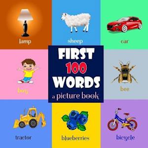 First 100 Words. a Picture Book for Baby