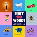 First 100 Words. a Picture Book for Baby