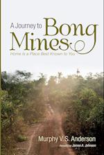 A Journey to Bong Mines 