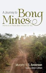 A Journey to Bong Mines 