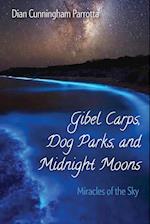 Gibel Carps, Dog Parks, and Midnight Moons 