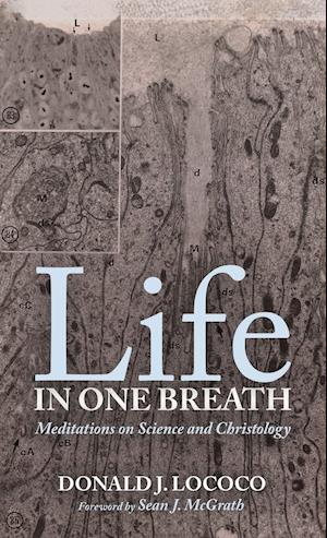 Life in One Breath