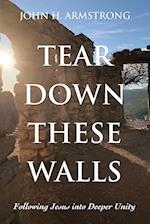 Tear Down These Walls: Following Jesus into Deeper Unity 