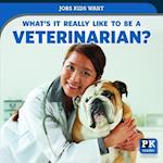 What's It Really Like to Be a Veterinarian?