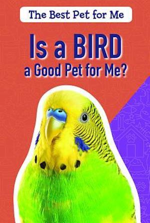 Is a Bird a Good Pet for Me?
