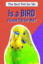Is a Bird a Good Pet for Me?