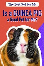 Is a Guinea Pig a Good Pet for Me?