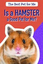 Is a Hamster a Good Pet for Me?