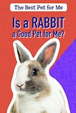 Is a Rabbit a Good Pet for Me?