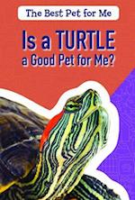 Is a Turtle a Good Pet for Me?