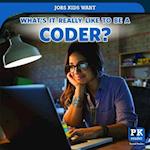 What's It Really Like to Be a Coder?