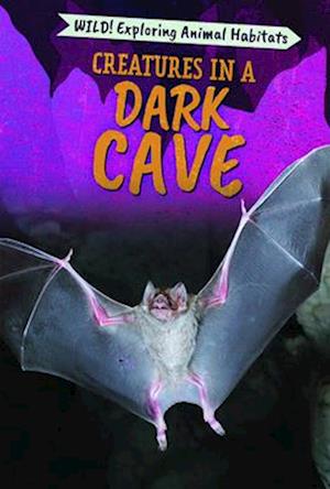 Creatures in a Dark Cave