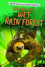 Creatures in a Wet Rain Forest