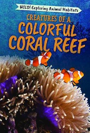 Creatures of a Colorful Coral Reef