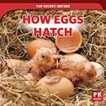 How Eggs Hatch