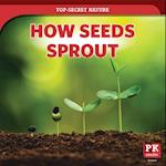 How Seeds Sprout