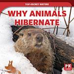 Why Animals Hibernate