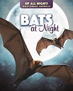 Bats at Night