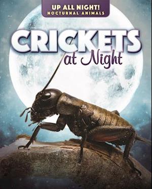 Crickets at Night