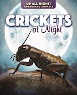 Crickets at Night