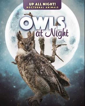 Owls at Night