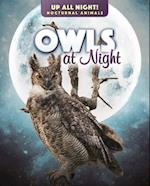 Owls at Night