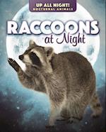 Raccoons at Night